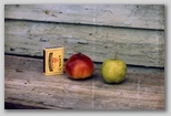 01_tristan_apples.jpg