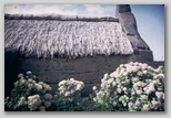 03_house_grassroof_72.jpg