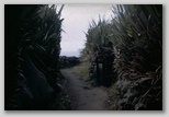 04_sidepath_72.jpg
