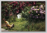08_garden_flowers_cock.jpg