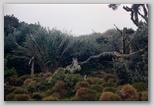 08_nature.jpg