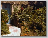 09_frontgarden.jpg