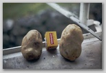 09_potato_size_72.jpg