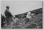 13_roofing.jpg