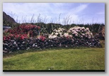 16_flowers.jpg