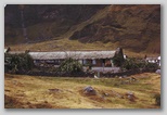 16_grassroof.jpg