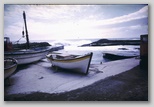 16_harbour.jpg