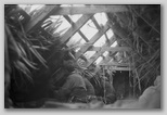 17_roofing_inside.jpg