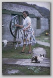 17_spinning_cat_73.jpg