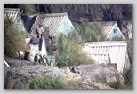 22_huts_penguins.jpg
