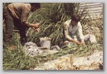 22_skinning_petrels_79.jpg