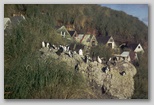 27_huts_penguins_79.jpg