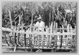 28_boatconstruction.jpg