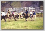 32_qday_donkey_riding.jpg