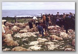 32_shearing_sheep.jpg