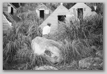35_huts.jpg