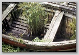 37_nature_inside_boat.jpg