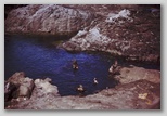 39_seal_pool.jpg