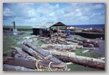 44_saw_mill_79.jpg