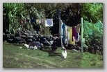 45_drying_79.jpg