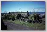 45_village_79.jpg