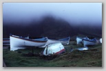 tdc_longboats2.jpg